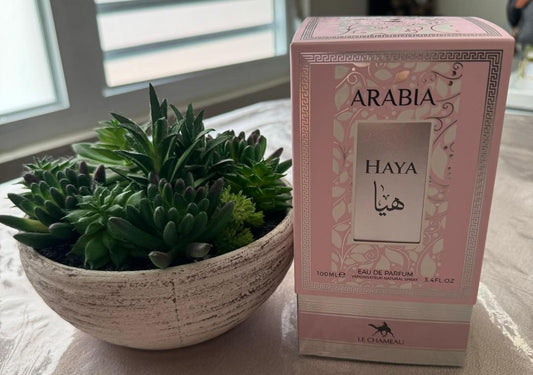 Arabia Haya Le Chameau